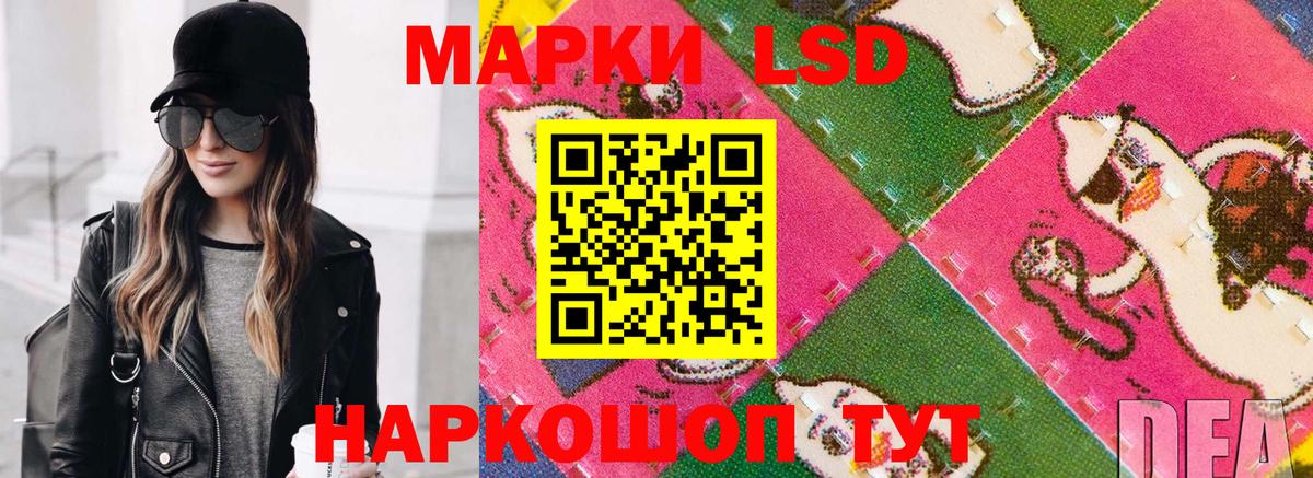 дарнет шоп  Вход с VPN  Марки 25I-NBOMe 1,8мг  Реутов  Марки 25I-NBOMe 1,8мг  Наркотические марки 