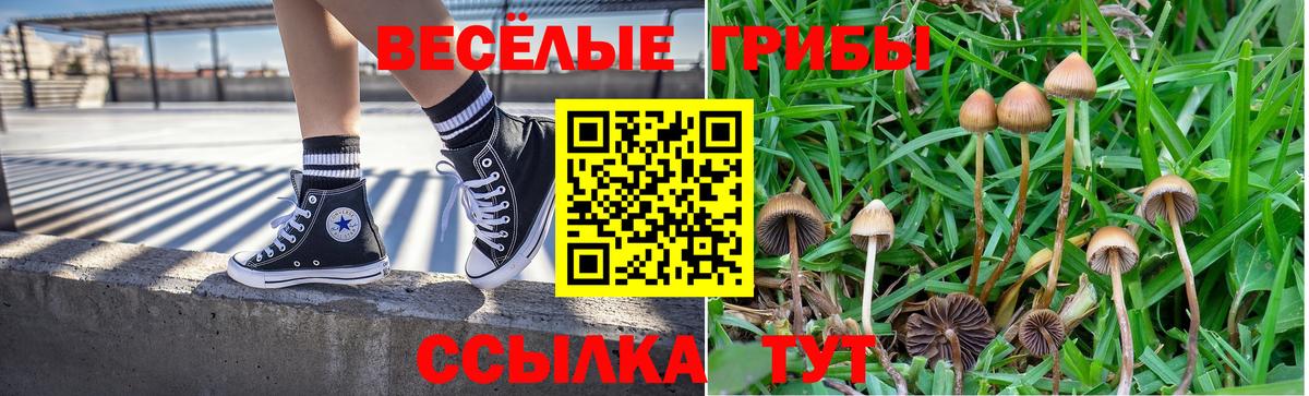 Галлюциногенные грибы Psilocybine cubensis Реутов